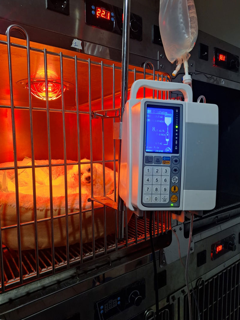 Hospitalizaci&oacute;n