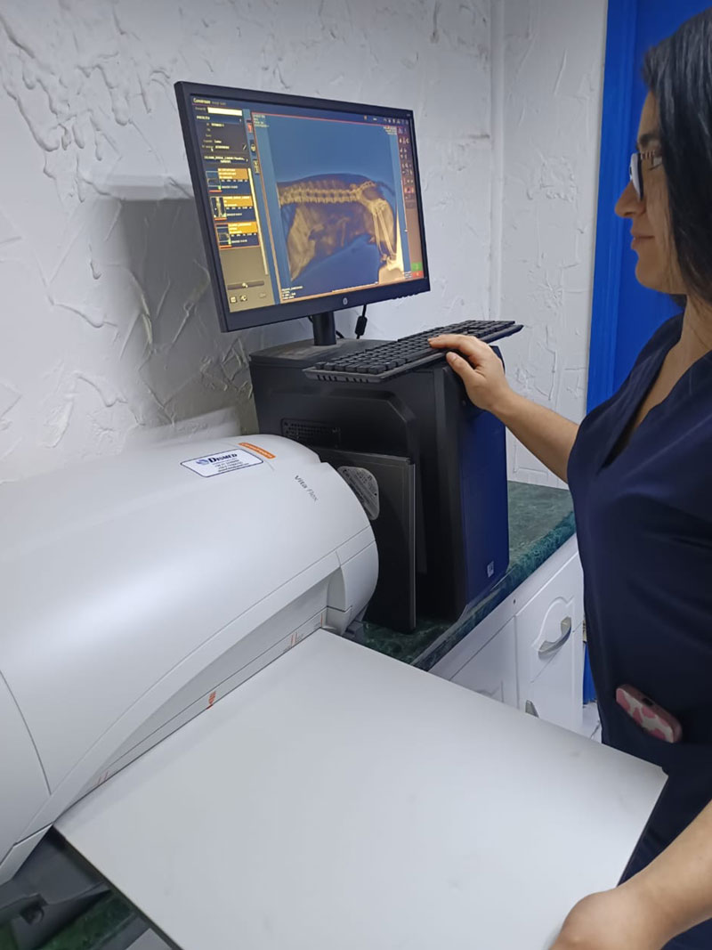 Radiograf&iacute;a Digital